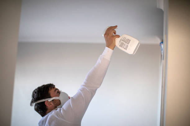 Best Mold Damage Repair  in Bremerton, WA