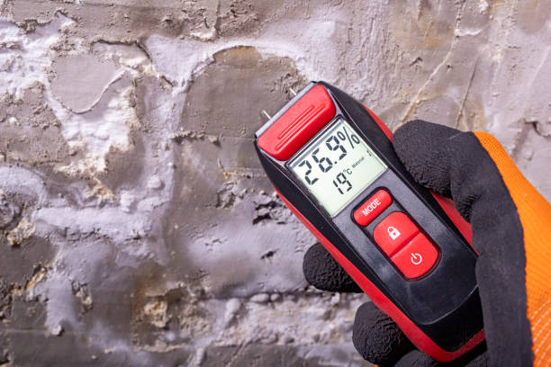 Best Certified Mold Removal  in Bremerton, WA