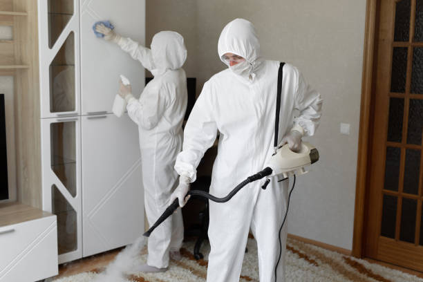 Professional Mold Removal in Bremerton, WA