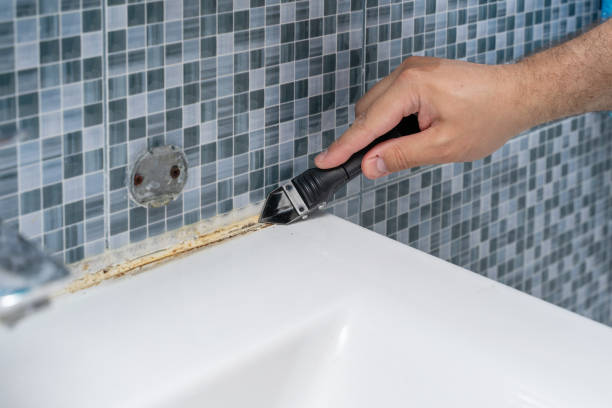 Best Mold Removal Near Me  in Bremerton, WA